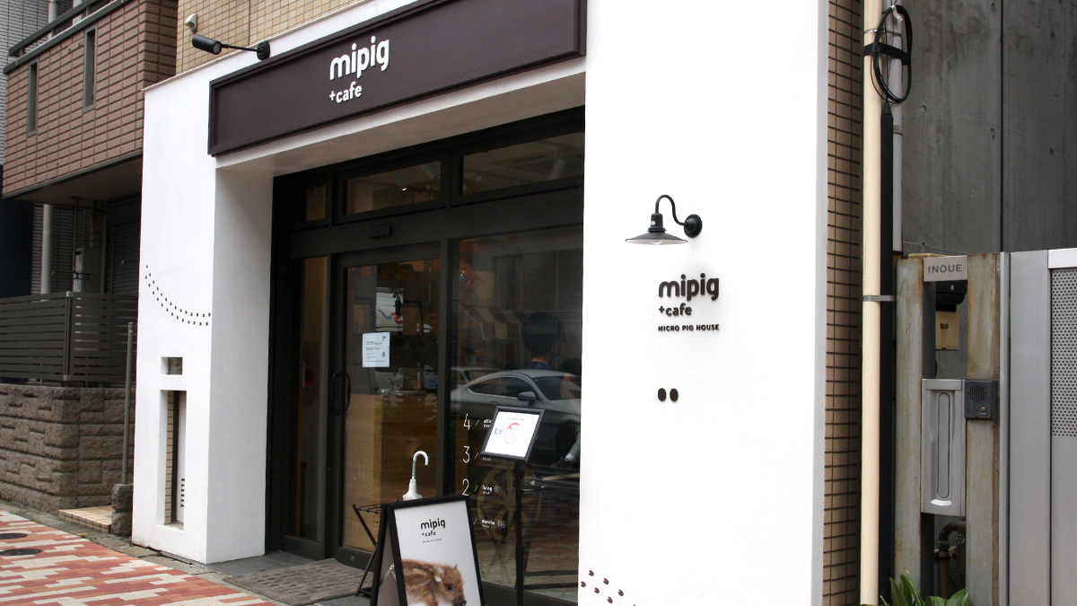 mipig cafe（マイピッグカフェ）目黒店 外観