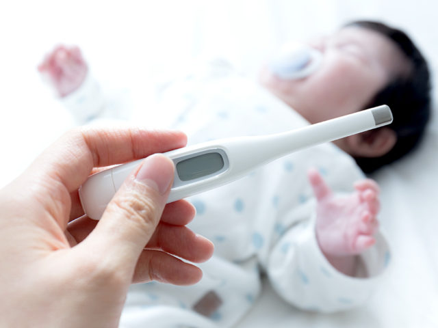 記事一覧 でろかる